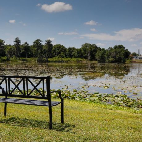 Bench by lake